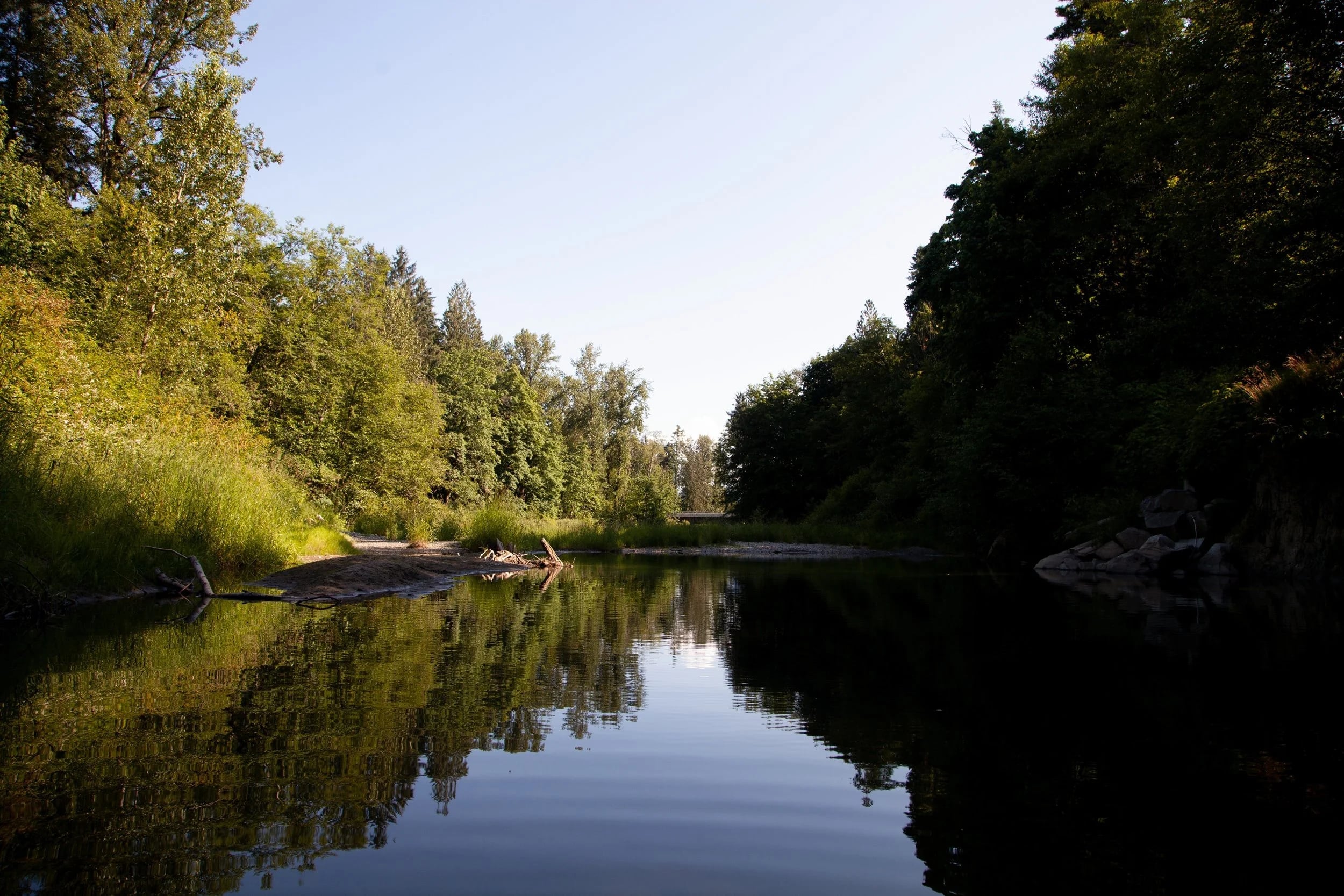 The river in summer, still water reflecting the trees and sky