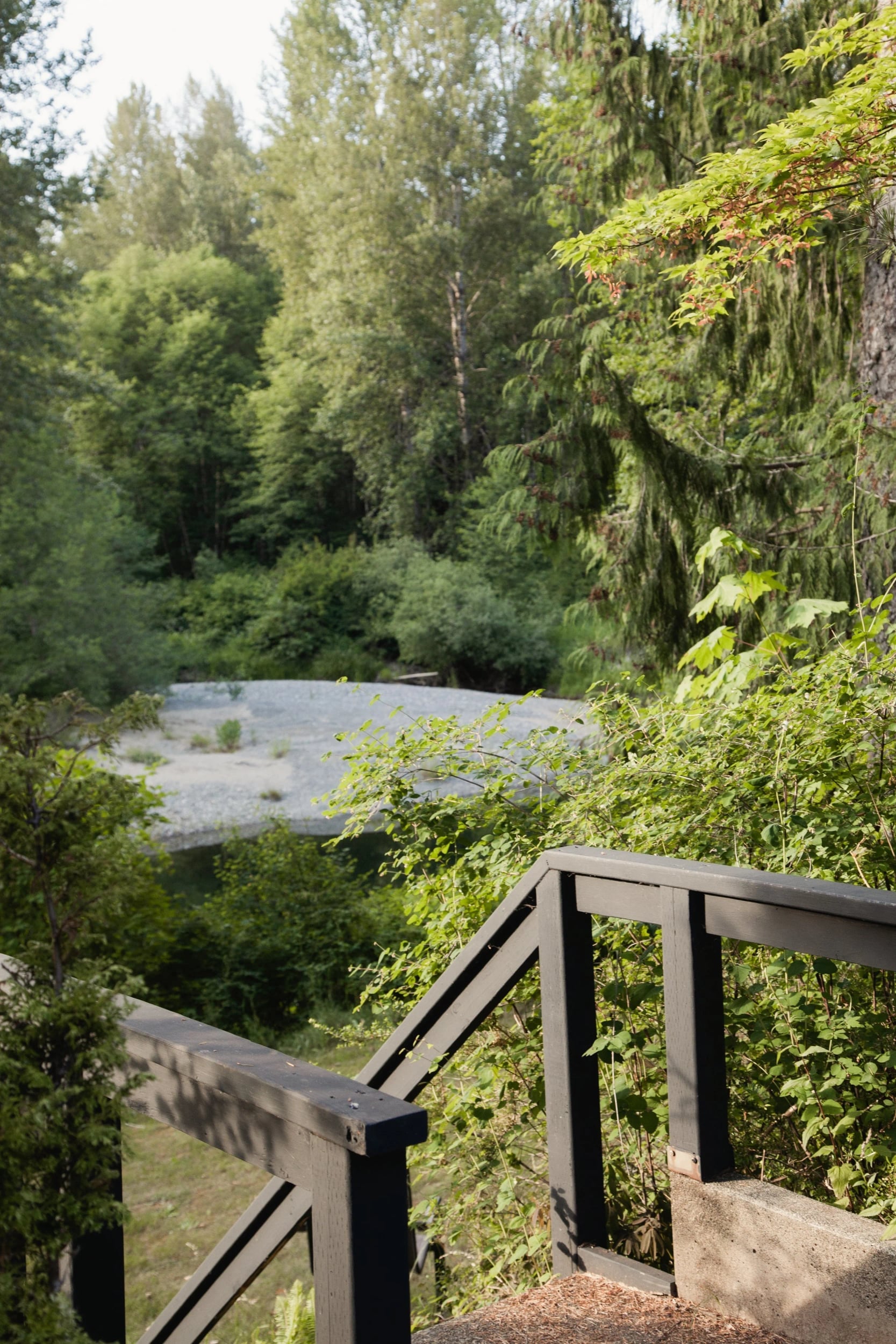 Steps and a railing leading down through the trees to the river
