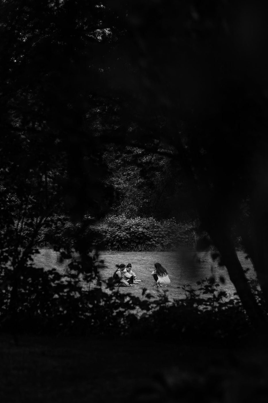 Three people sitting together in the meadow, framed by trees